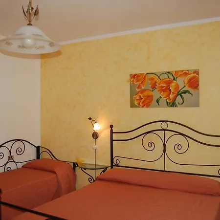 Rabbit Casa de Campo *