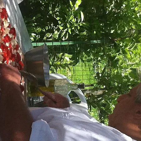 Casa de Campo Rabbit *