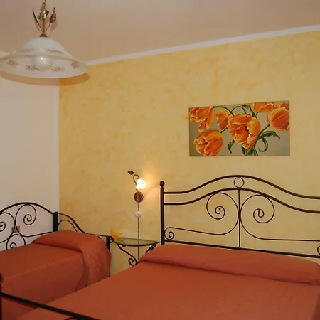 Casa de Campo Rabbit