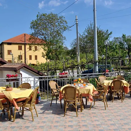 Rabbit Casa de Campo *