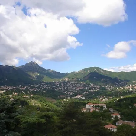 Casa de Campo Rabbit *