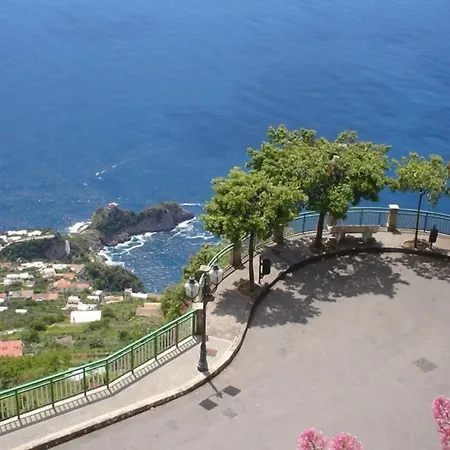 Casa de Campo Rabbit