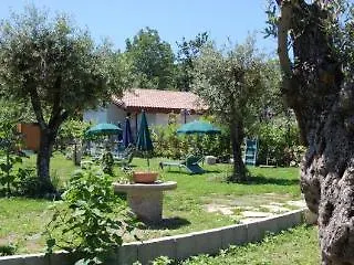 Rabbit Gospodarstwo wiejskie Agerola